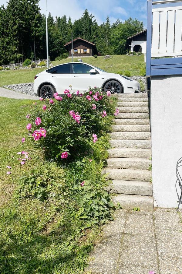 Haus Waldblick Διαμέρισμα Philippsreut Εξωτερικό φωτογραφία